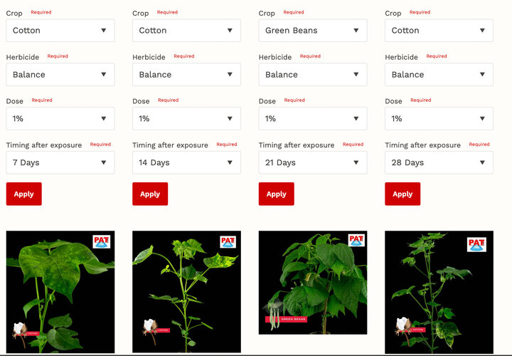 Visual Expected Symptomology of Herbicides